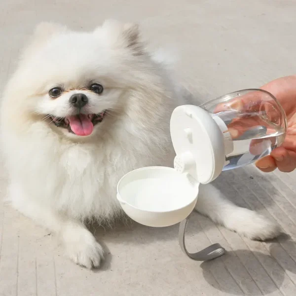 300ml Portable Pet Water Bottle Outdoor Travel Drinking Cup Feeding Bowl With Lanyard For Small Medium Cats Dogs Pet Supplies